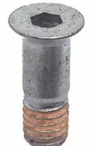 Shimano Rollenschraube XT Ab ´99 (M5x13,95mm) Y-53M24000 Stückpreis !